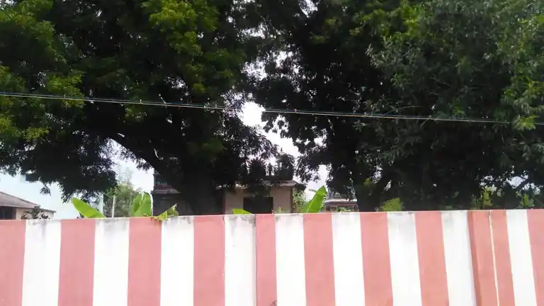 Arulmigu Mariyamman Temple, Vilamuthur - 621113 Arulmigu Mariyamman Temple, Vilamuthur - 621113, Perambalur - Ancient Temple Architecture and History Image 4