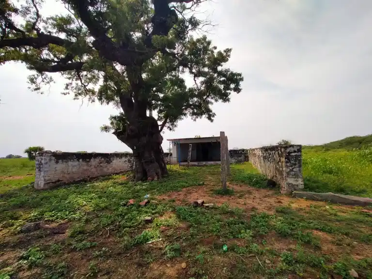 Arulmigu Mariyamman Temple, Viralipatty - 621301 அருள்மிகு மாரியம்மன் திருக்கோயில்,  - 621301, Karur - Ancient Temple Architecture and History Image 2