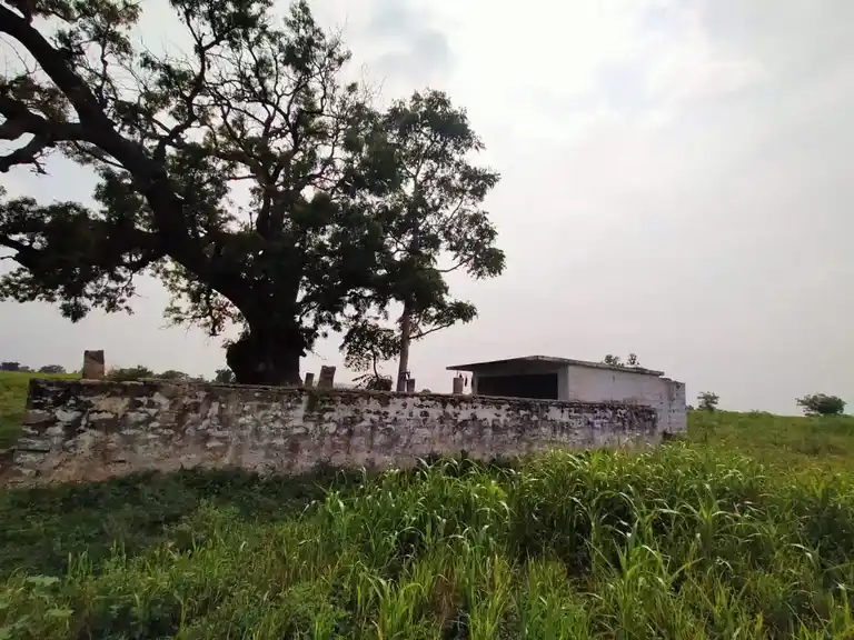 Arulmigu Mariyamman Temple, Viralipatty - 621301 அருள்மிகு மாரியம்மன் திருக்கோயில்,  - 621301, Karur - Ancient Temple Architecture and History Image 3