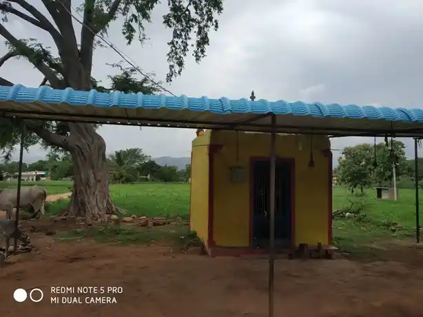 Arulmigu Mariyamman Thimmaraya Swamy Temple, Pikili - 636809 அருள்மிகு திம்மராயசாமி மற்றும் மாரியம்மன் திருக்கோயில், பிகிலி - 636809, Dharmapuri - Ancient Temple Architecture and History Image 3