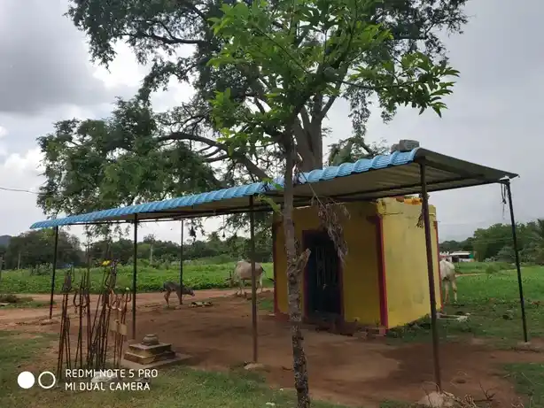 Arulmigu Mariyamman Thimmaraya Swamy Temple, Pikili - 636809 அருள்மிகு திம்மராயசாமி மற்றும் மாரியம்மன் திருக்கோயில், பிகிலி - 636809, Dharmapuri - Ancient Temple Architecture and History Image 4