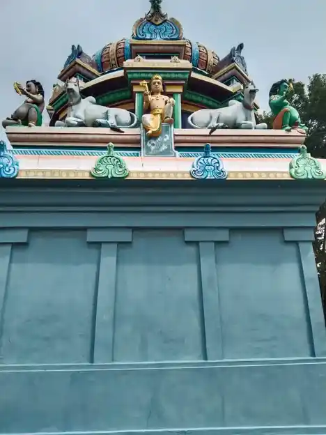 Arulmigu Mariyamman Thondriamman Temple, Narayanamangalam - 614404 அருள்மிகு மாரியம்மன் மற்றும் தான்தோன்றியம்மன் திருக்கோயில், Narayanamangalam - 614404, Thiruvarur - Ancient Temple Architecture and History Image 8