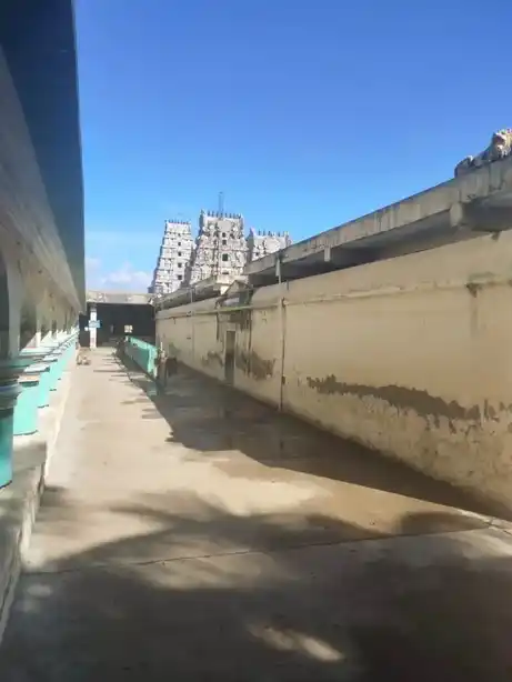 Arulmigu Marriamman Temple, Punnainallur, Thanjavur - 613501 அருள்மிகு மாரியம்மன் திருக்கோயில், புன்னைநல்லூர், தஞ்சாவூர் - 613501, Thanjavur - Ancient Temple Architecture and History Image 8