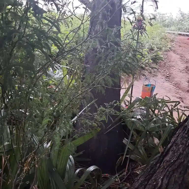 Arulmigu Marthadi Karupannaswamy Temple, Perur - 621205 Arulmigu Marthadi Karupannaswamy Temple, Perur - 621205, Thiruchirappalli - Ancient Temple Architecture and History Image 2