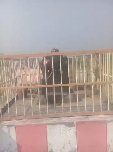 Arulmigu Marudha Vinayagar Temple, Veliyathur - 630204 அருள்மிகு. மருத விநாயகர் திருக்கோயில், Veliyathur - 630204, Sivagangai - Ancient Temple Architecture and History Image 4