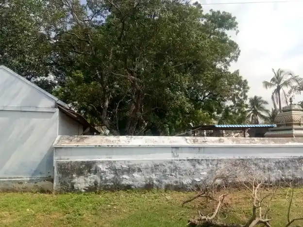 Arulmigu Marutha Kaliamman Temple, Eramanayakanpatti - 624613 அருள்மிகு மருத காளியம்மன் திருக்கோயில், Eramanayakanpatti - 624613, Dindigul - Ancient Temple Architecture and History Image 4