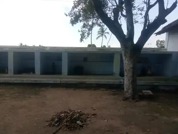 Arulmigu Marutha Kaliamman Temple, Eramanayakanpatti - 624613 அருள்மிகு மருத காளியம்மன் திருக்கோயில், Eramanayakanpatti - 624613, Dindigul - Ancient Temple Architecture and History Image 6