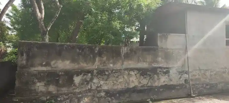 Arulmigu Maruthaudaya Kandan Sastha Temple, Boothapandy - 629851 அருள்மிகு மருதாவுடைய கண்டன் சாஸ்தா திருக்கோயில், Boothapandy - 629851, Kanyakumari - Ancient Temple Architecture and History Image 3