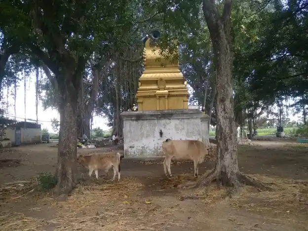 Arulmigu Maruthiyamman Vagaiyara Temple, Edhappattu - 604201 அருள்மிகு மருதியம்மன் வகையறா திருக்கோயில், Edhappattu - 604201, Viluppuram - Ancient Temple Architecture and History Image 2