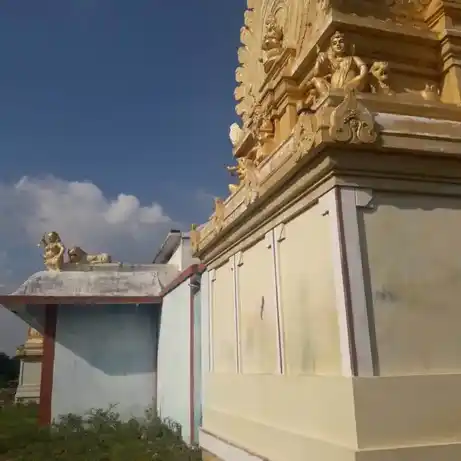 Arulmigu Masakaliamman Temple, Kolathupalayam - 638661 அருள்மிகு மசக்காளியம்மன் திருக்கோயில், Kolathupalayam - 638661, Tiruppur - Ancient Temple Architecture and History Image 5