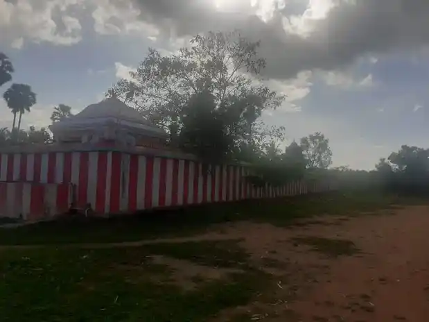 Arulmigu Masilamaninathar Temple, Veppangadu - 614602 அருள்மிகு மாசிலாமணி நாகர் சுவாமி திருக்கோயில், Veppangadu - 614602, Thanjavur - Ancient Temple Architecture and History Image 3