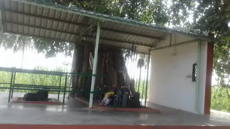 Arulmigu Mathalakombu Ganesan Temple, Pettai Karai, Pettai Karai - 638506 அருள்மிகு மத்தளக்கொம்பு கணேசன் திருக்கோயில், Pettai Karai, Pettai Karai - 638506, Erode - Ancient Temple Architecture and History Image 7