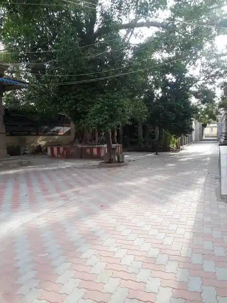 Arulmigu Mathanagopalasamy Temple, Madurai - 625001 அருள்மிகு மதனகோபாலசுவாமி திருக்கோயில், மதுரை - 625001, Madurai - Ancient Temple Architecture and History Image 2