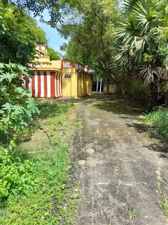 Arulmigu Mathankovil Temple, Rajakamangalam - 627101 அருள்மிகு மாதாங்கோயில், இராஜாக்கள்மங்கலம், நான்குநேரி வட்டம், திருநெல்வேலி மாவட்டம் கோயில், Rajakamangalam - 627101, Tirunelveli - Ancient Temple Architecture and History Image 2