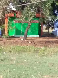 Arulmigu Mathantemple (Mariamman) Temple, -, Navaneethakrishnapuram - 627851