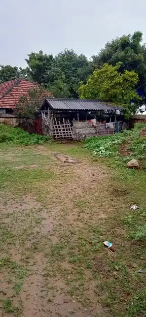 Arulmigu Mathava Perumal Temple, Thiruvetriyur - 623407 அருள்மிகு மாதவபெருமாள் திருக்கோயில், Thiruvetriyur - 623407, Ramanathapuram - Ancient Temple Architecture and History Image 4