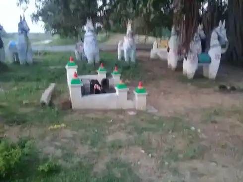 Arulmigu Mathavan Temple, Aralikottai - 630566 அருள்மிகு. மாதவன் திருக்கோயில், Aralikottai - 630566, Sivagangai - Ancient Temple Architecture and History Image 3