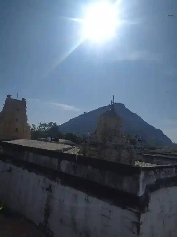 Arulmigu Matheesthanatha Samy Temple, Tharukapuram - 627755 அருள்மிகு மத்தியஸ்தநாதசுவாமி திருக்கோயில், Tharukapuram - 627755, Tenkasi - Ancient Temple Architecture and History Image 2