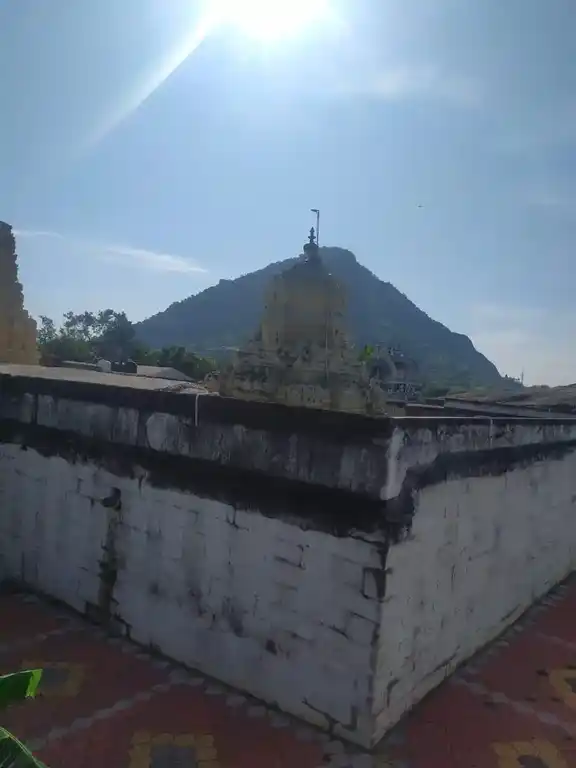 Arulmigu Matheesthanatha Samy Temple, Tharukapuram - 627755 அருள்மிகு மத்தியஸ்தநாதசுவாமி திருக்கோயில், Tharukapuram - 627755, Tenkasi - Ancient Temple Architecture and History Image 4