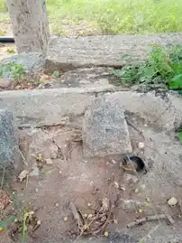 Arulmigu Mathesilingeswarar Temple, Muthampalayam - 638812