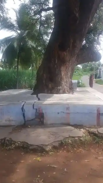 Arulmigu Matheswar Temple, Goundampalayam, Goundampalayam - 638103 Temple