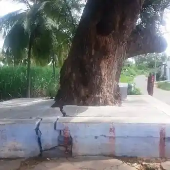 Arulmigu Matheswar Temple, Goundampalayam, Goundampalayam - 638103 அருள்மிகு மாதேஸ்வரர் திருக்கோயில், Goundampalayam, கவுண்டன்பாளையம் - 638103, Erode - Ancient Temple Architecture and History Image 2