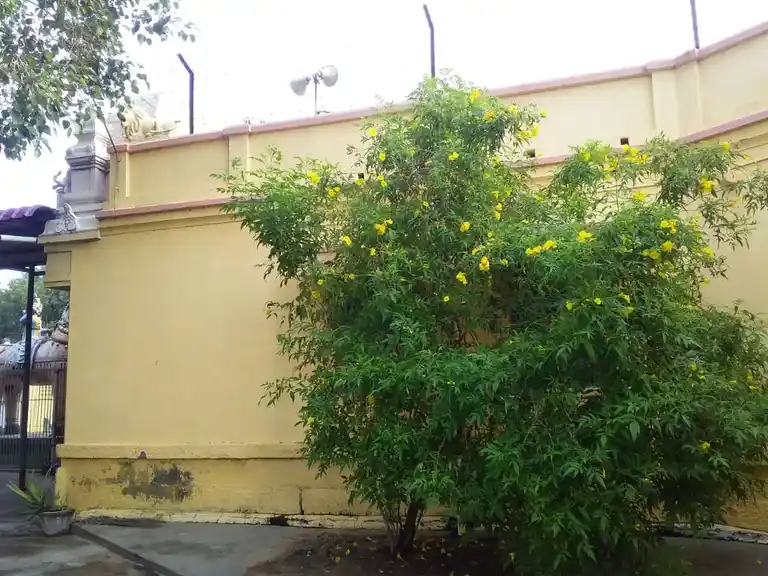 Arulmigu Mathukarai Sellandiyamman Temple, Thirukampuliur, Thirukampuliyur - 639102 அருள்மிகு மதுக்கரை செல்லாண்டியம்மன் திருக்கோயில், Thirukampuliur, Thirukampuliyur - 639102, Karur - Ancient Temple Architecture and History Image 2