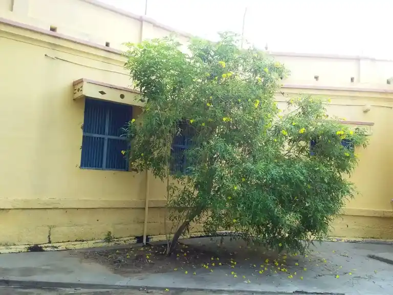 Arulmigu Mathukarai Sellandiyamman Temple, Thirukampuliur, Thirukampuliyur - 639102 அருள்மிகு மதுக்கரை செல்லாண்டியம்மன் திருக்கோயில், Thirukampuliur, Thirukampuliyur - 639102, Karur - Ancient Temple Architecture and History Image 6