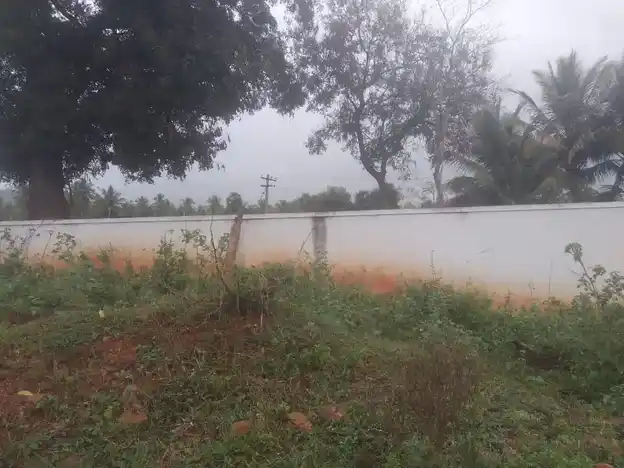 Arulmigu Mathuraiveerasamy Temple, Manjampatti - 621310 Arulmigu Mathuraiveerasamy Temple, Manjampatti - 621310, Thiruchirappalli - Ancient Temple Architecture and History Image 3