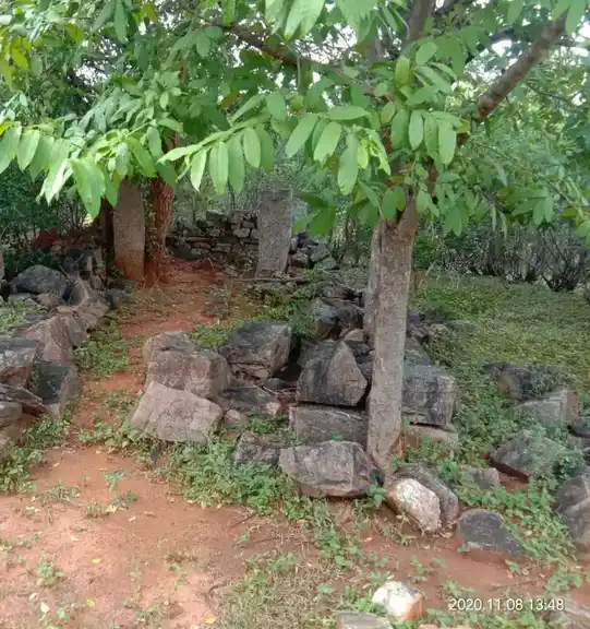 Arulmigu Mattakaradu Perumal And Varatharajaperumal Temple, Puliyampatty - 624706 அருள்மிகு மட்டக்கரடு பெருமாள் மற்றும் வரதராஜப்பெருமாள் கோயில், Puliyampatty - 624706, Dindigul - Ancient Temple Architecture and History Image 6