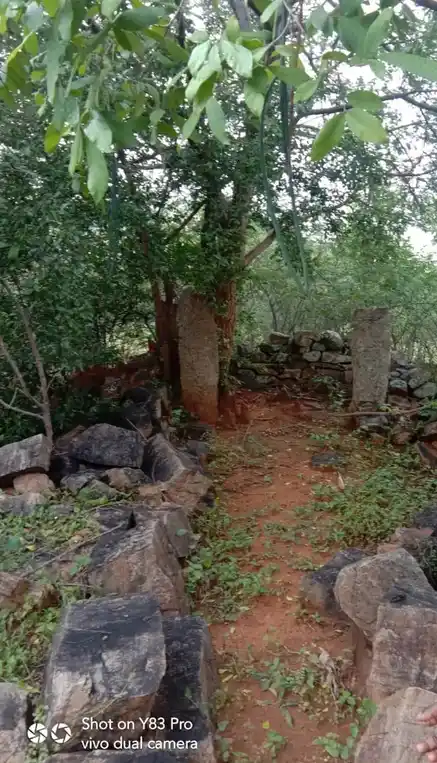 Arulmigu Mattakaradu Perumal And Varatharajaperumal Temple, Puliyampatty - 624706 அருள்மிகு மட்டக்கரடு பெருமாள் மற்றும் வரதராஜப்பெருமாள் கோயில், Puliyampatty - 624706, Dindigul - Ancient Temple Architecture and History Image 7