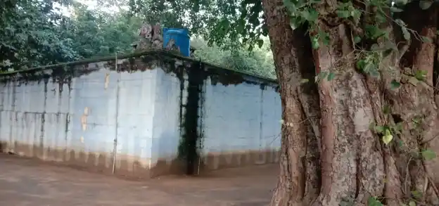 Arulmigu Mayapandeeswarar Sokkanathar Temple, Melmangalam - 625601 அருள்மிகு மாயாபாண்டீஸ்வரர் சொக்கநாதர் திருக்கோயில், மேல்மங்கலம் - 625601, Theni - Ancient Temple Architecture and History Image 4