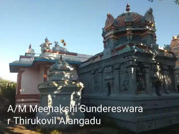 Arulmigu Meenachi Sundhareswarar Temple, Alangadu - 614705 அருள்மிகு மீனாட்சி சுந்தரேஸ்வரர் திருக்கோயில், ஆலங்காடு - 614705, Thiruvarur - Ancient Temple Architecture and History Image 2
