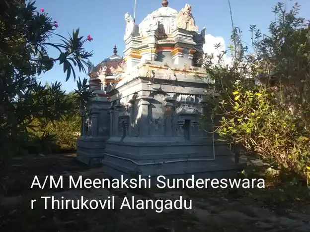 Arulmigu Meenachi Sundhareswarar Temple, Alangadu - 614705 அருள்மிகு மீனாட்சி சுந்தரேஸ்வரர் திருக்கோயில், ஆலங்காடு - 614705, Thiruvarur - Ancient Temple Architecture and History Image 3