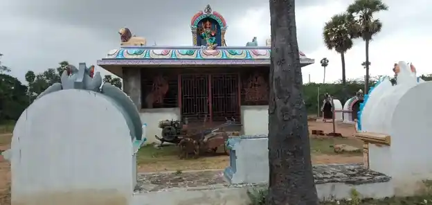 Arulmigu Meenachiyamman Temple, Pathaalapettai - 620013 Arulmigu Meenachiyamman Temple, Pathaalapettai - 620013, Thiruchirappalli - Ancient Temple Architecture and History Image 3