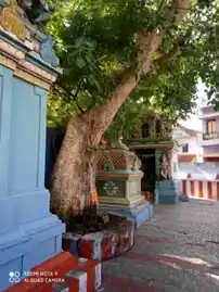 Arulmigu Meenakshi Sundara Vinayakar Temple, Near Police Station, Tirumangalam - 625706 Arulmigu Meenakshi Sundara Vinayakar Temple, Near Police Station, Tirumangalam - 625706, Madurai - Ancient Temple Architecture and History Image 2