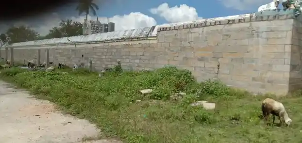 Arulmigu Meenakshi Sundareswarar and Kalabairavar Temple, Thurvasapuram, Thirumayam Taluk - 622409 அருள்மிகு மீனாட்சி சுந்தரேஸ்வரர் மற்றும் காலபைரவர் திருக்கோயில், துர்வாசபுரம், திருமயம் வட்டம் - 622409, Pudukkottai - Ancient Temple Architecture and History Image 2