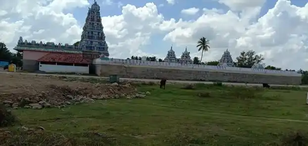 Arulmigu Meenakshi Sundareswarar and Kalabairavar Temple, Thurvasapuram, Thirumayam Taluk - 622409 அருள்மிகு மீனாட்சி சுந்தரேஸ்வரர் மற்றும் காலபைரவர் திருக்கோயில், துர்வாசபுரம், திருமயம் வட்டம் - 622409, Pudukkottai - Ancient Temple Architecture and History Image 4