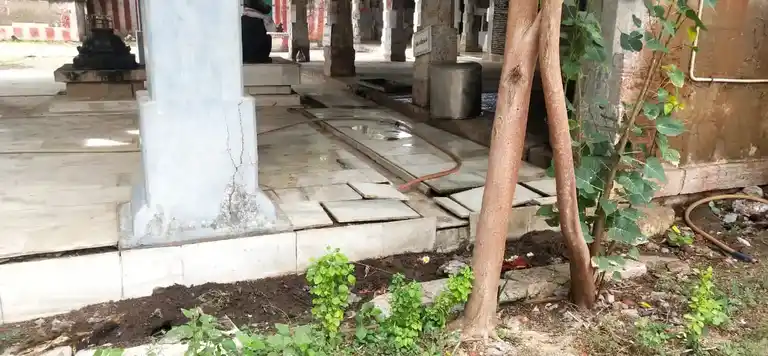 Arulmigu Meenakshi Sundareswarar Temple, Kamuthi - 623603 அருள்மிகு மீனாட்சி சுந்தரேஸ்வரர் திருக்கோயில், கமுதி - 623603, Ramanathapuram - Ancient Temple Architecture and History Image 3