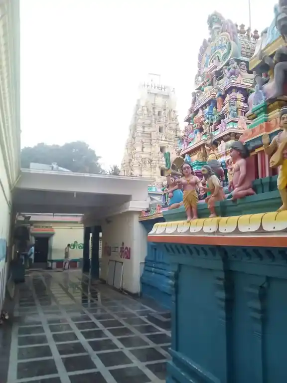 Arulmigu Meenakshi Sundareswarar Temple, Kosapet, Vellore - 632001 அருள்மிகு மீனாட்சி சுந்தரேஸ்வரர் திருக்கோயில், கொசப்பேட்டை, வேலூர் - 632001, Vellore - Ancient Temple Architecture and History Image 5