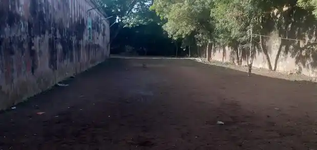 Arulmigu Meenakshi Sundareswarar Temple, Senthalai - 613101 அருள்மிகு மீனாட்சி சுந்தரேசுவரர் திருக்கோயில், Senthalai - 613101, Thanjavur - Ancient Temple Architecture and History Image 6