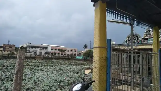Arulmigu Meenakshi Sundhareswarar And Nagarasivan Temple, Karaikudi - 630001 அருள்மிகு மீனாட்சி சுந்தரேஸ்வரர் என்ற நகர சிவன் கோயில், Karaikudi - 630001, Sivagangai - Ancient Temple Architecture and History Image 3