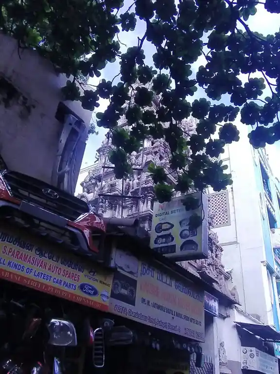 Arulmigu Meenatchi Amman Temple, Komaleeswarar Pet, Chennai - 600002 அருள்மிகு மீனாட்சியம்மன் திருக்கோயில், கோமளீஸ்வரர் பேட்டை, சென்னை - 600002, Chennai - Ancient Temple Architecture and History Image 3