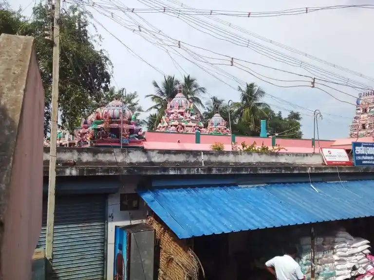 Arulmigu Meenatchi Chokkalingeswarar Temple, Panaiyapatti - 622402 அருள்மிகு மீனாட்சிசொக்கலிங்கேஸ்வரர் திருக்கோயில், Panaiyapatti - 622402, Pudukkottai - Ancient Temple Architecture and History Image 7