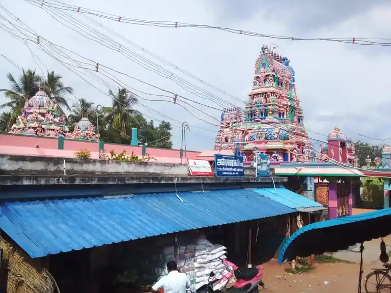 Arulmigu Meenatchi Chokkalingeswarar Temple, Panaiyapatti - 622402 அருள்மிகு மீனாட்சிசொக்கலிங்கேஸ்வரர் திருக்கோயில், Panaiyapatti - 622402, Pudukkottai - Ancient Temple Architecture and History Image 8