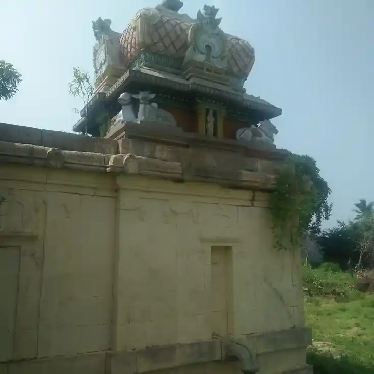 Arulmigu Meenatchi Chokkanathar Temple, Sowdarpatti - 625704 மீனாட்சி சொக்கநாதர் திருக்கோயில், Sowdarpatti - 625704, Madurai - Ancient Temple Architecture and History Image 6