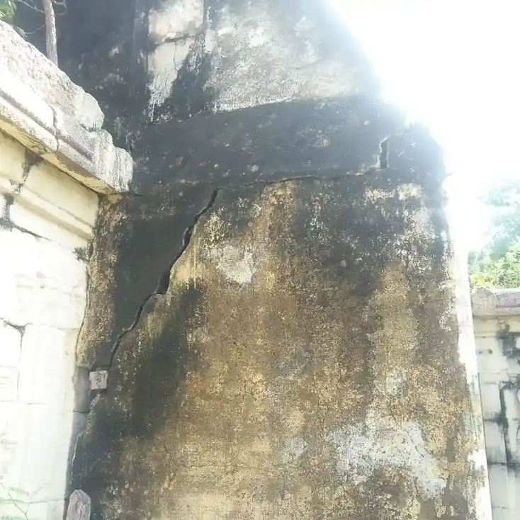 Arulmigu Meenatchi Chokkanathar Temple, Sowdarpatti - 625704 மீனாட்சி சொக்கநாதர் திருக்கோயில், Sowdarpatti - 625704, Madurai - Ancient Temple Architecture and History Image 9