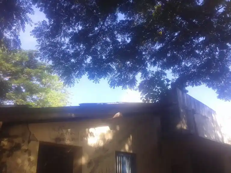 Arulmigu Meenatchi Sokkanatha Swamy Temple, Mannargudi - 614001 அருள்மிகு மீனாட்சி சொக்கநாதர் சுவாமி திருக்கோயில், மன்னார்குடி - 614001, Thiruvarur - Ancient Temple Architecture and History Image 3