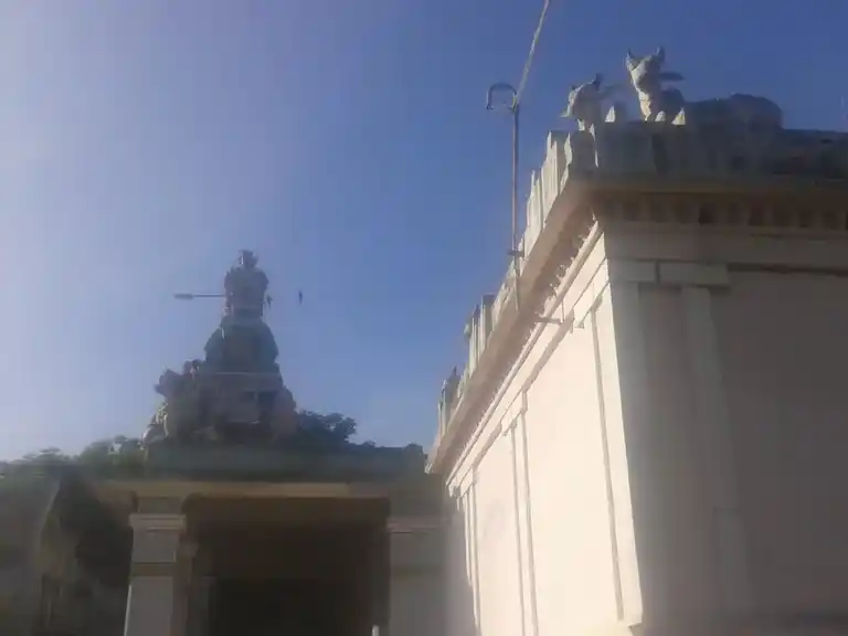 Arulmigu Meenatchi Sokkanatha Swamy Temple, Mannargudi - 614001 அருள்மிகு மீனாட்சி சொக்கநாதர் சுவாமி திருக்கோயில், மன்னார்குடி - 614001, Thiruvarur - Ancient Temple Architecture and History Image 7