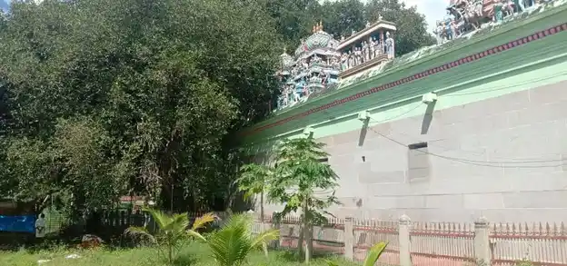 Arulmigu Meenatchi Sundareswarar Temple, Keela Pattamangalam - 630204 அருள்மிகு மீனாட்சி சுந்தரேஸ்வரர் திருக்கோயில், Keela Pattamangalam - 630204, Sivagangai - Ancient Temple Architecture and History Image 5